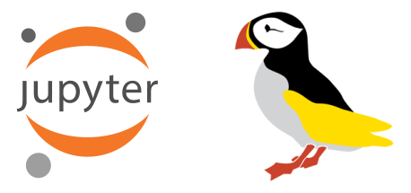 jupyter notebook logo